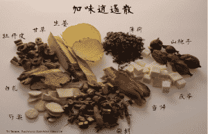 Phytothérapie Pharmacopée Chinoise à Valence