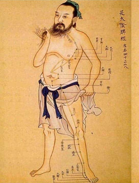 acupuncture auriculothérapie médecine chinoise tain l hermitage et tournon sur rhône