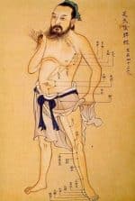 Acupuncture et médecine chinoise Romans sur Isère - saint marcellin