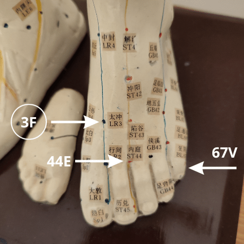 le point d'acupuncture du pied 3F, taichong